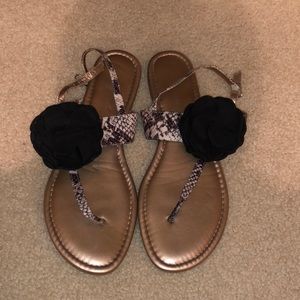 BCBG sandals